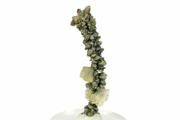 Iridescent Marcasite Stalactite with Barite - Linwood Mine, Iowa #298804